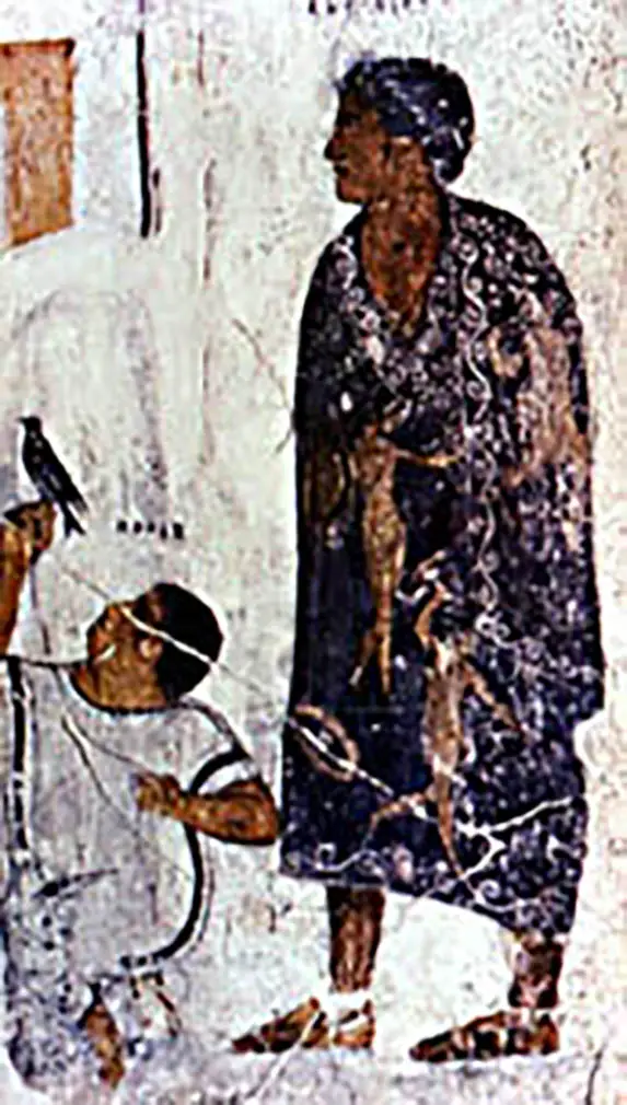Una toga picta en todo su esplendor. Podemos ver el distintivo color purpura resaltar sobre la imagen y los tonos dorados de los adornos darle un semblante especial.