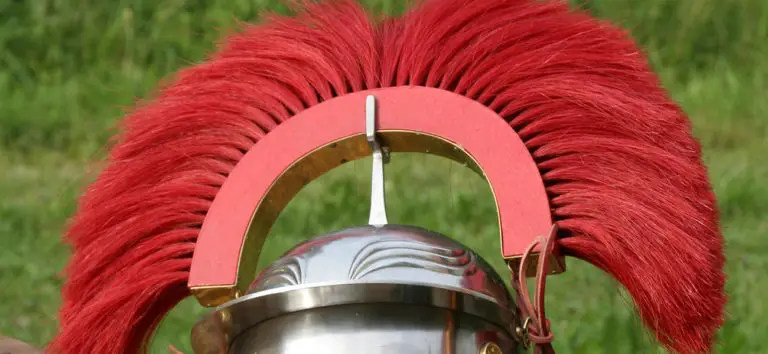 Fotografía de una cresta de centurión.