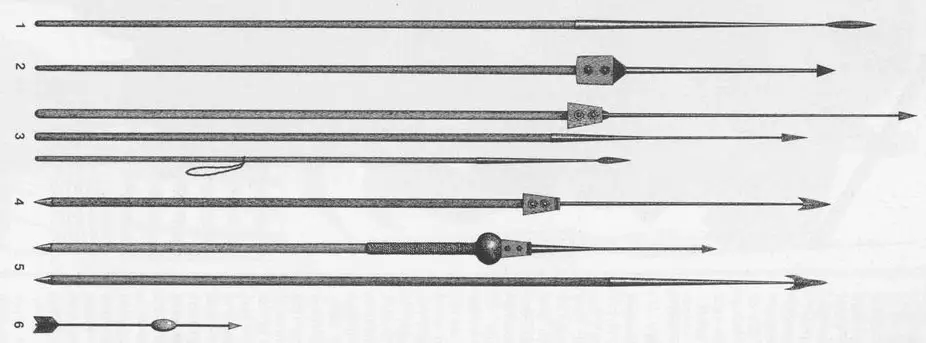 Evolución del pilum de la jabalina pilum a lo largo del tiempo.